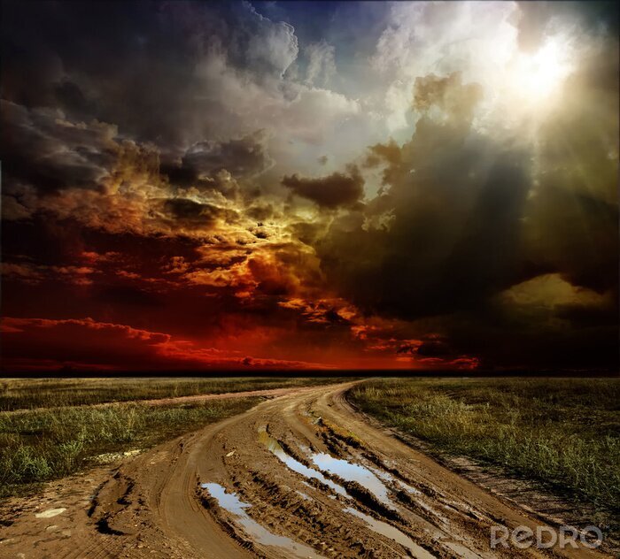 Canvas Veld en dreigende lucht