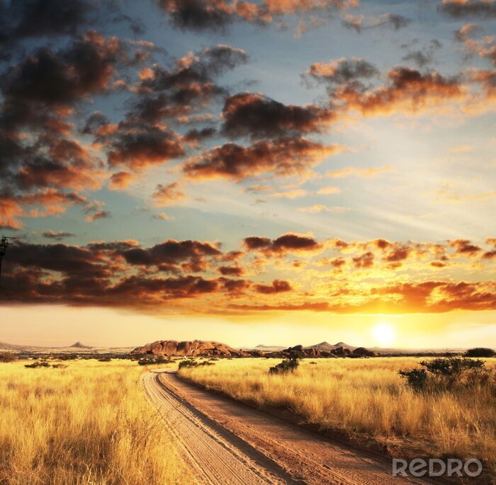 Canvas Velden en zonsondergang