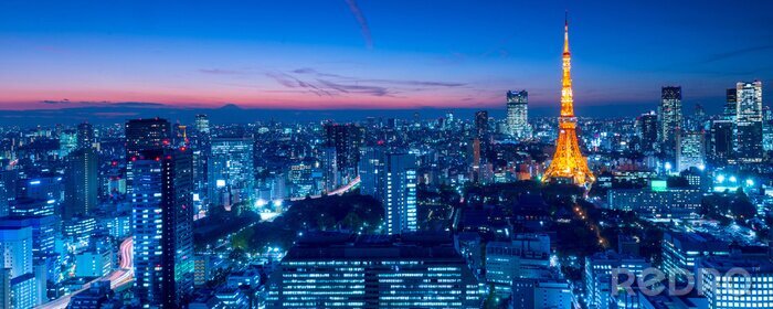 Canvas Verlichte Tokio Tower