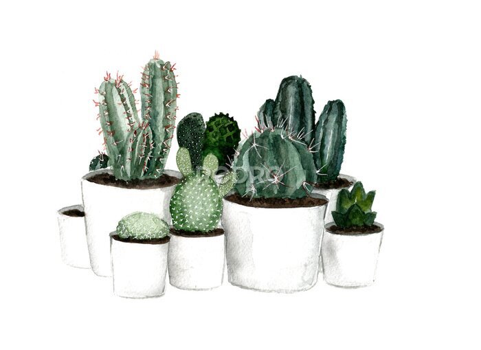 Canvas Verschillende soorten cactussen in pot geschilderd in aquarel