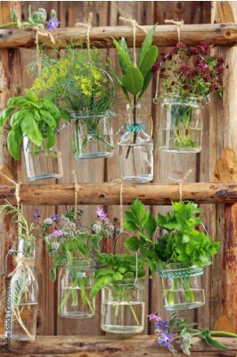 Canvas Verse kruiden in vazen op een houten achtergrond