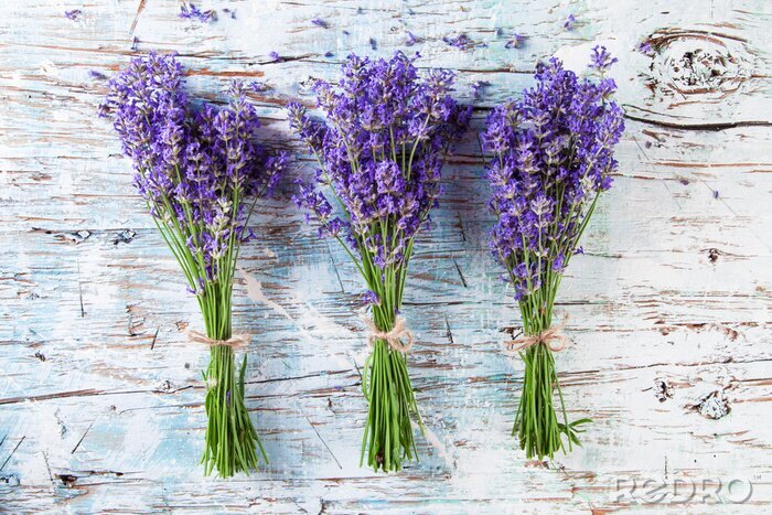 Canvas Verse lavendel op hout