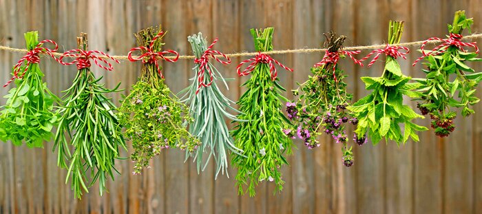 Canvas Verse tuinkers