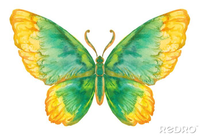 Canvas Verzadigd vlinderpatroon