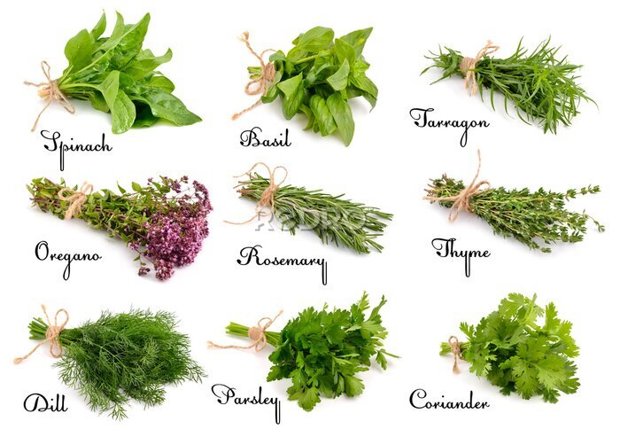 Canvas Verzameling van kruiden en specerijen voor het koken