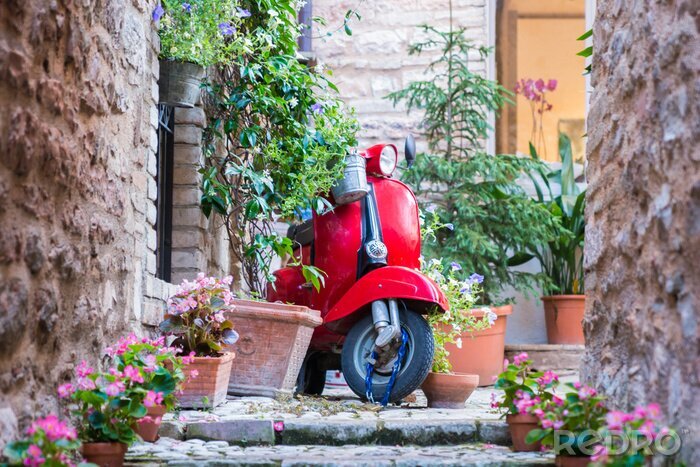 Canvas Vespa rossa