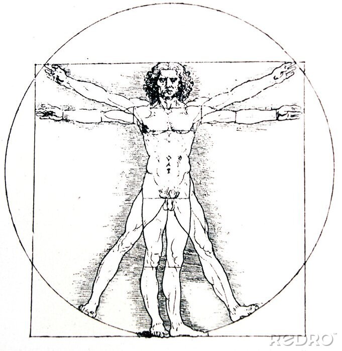 Canvas Vetruviaanse mens, Measures of Human body van Leonardo da Vinci, geïllustreerd in een vintage boek, Leonard de Vinci, Eugene Muntz, 1899, Parijs