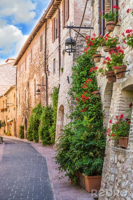 Canvas Vicolo con fiori, Assisi