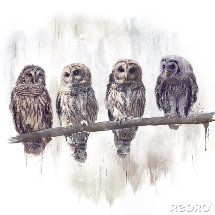Canvas Vier uilen op een boom