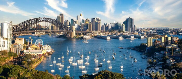 Canvas View point of Sydney harbour with city and bridge in day time