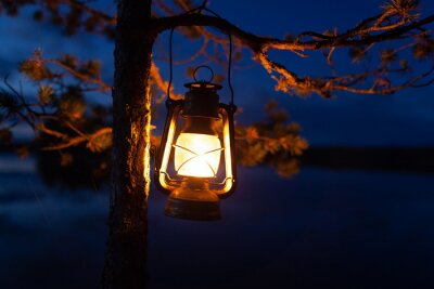 Canvas Vintage oil lamp hanging on a tree. Beautiful view of dark forest and lake at night. Hiker, Travel, Outdoor Concept