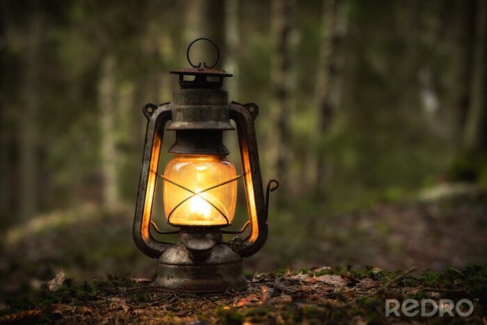 Canvas Vintage old lantern lighting in the dark forest. Travel camping concept. Burning lantern on a moss at forest in the night.