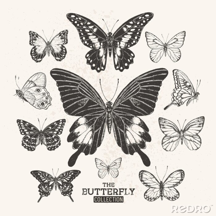 Canvas vintage vlinders