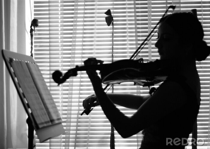 Canvas violist speelt viool