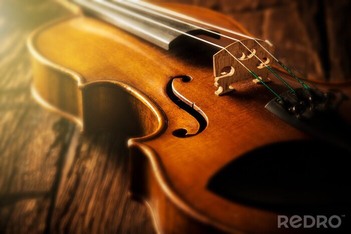 Canvas viool in vintage stijl