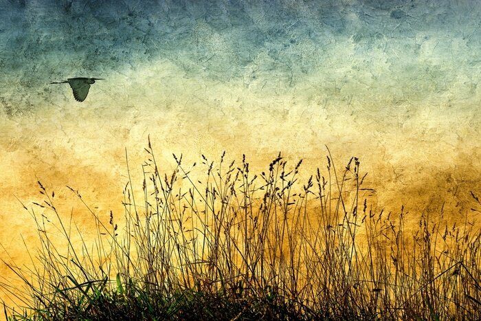 Canvas Vliegende vintage reiger