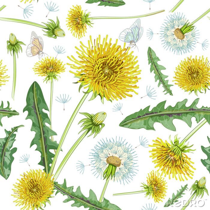 Canvas Vlinders tussen paardebloemen en paardebloemen