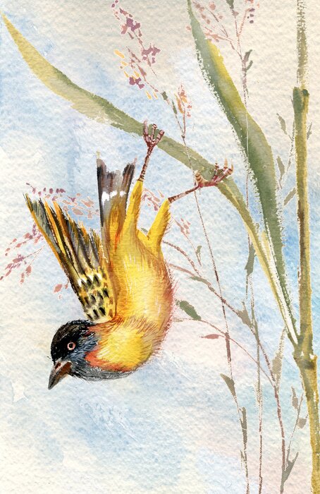 Canvas Vogel op een grasspriet