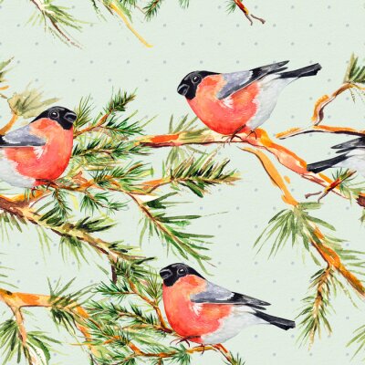 Vogels op een dennentak