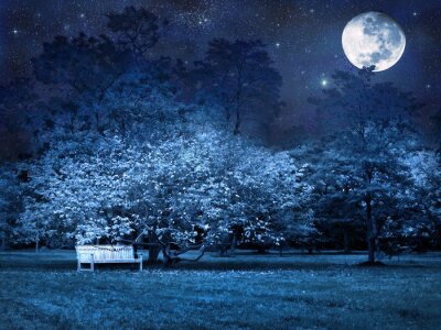 Canvas Volle maan 's nachts in het park