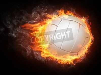 Canvas Volleybal bal op witte achtergrond.