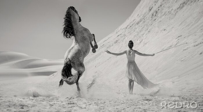 Canvas Vrouw en een majestueus paard