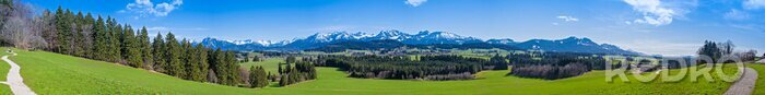 Canvas Wanderweg Durch Das Allgäu mit Blick auf die Alpen - Hochauflösendes Panorama