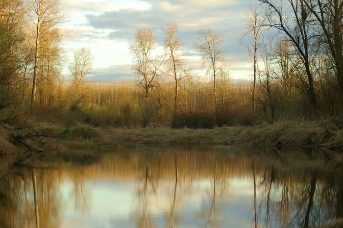 Canvas Washington wildreservaat