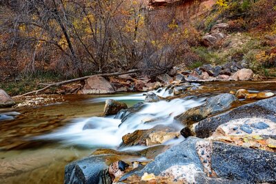 Canvas Water stroomt door de rivier Virgin in Zion National Park in de Verenigde Staten