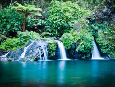 Watercascades en groen