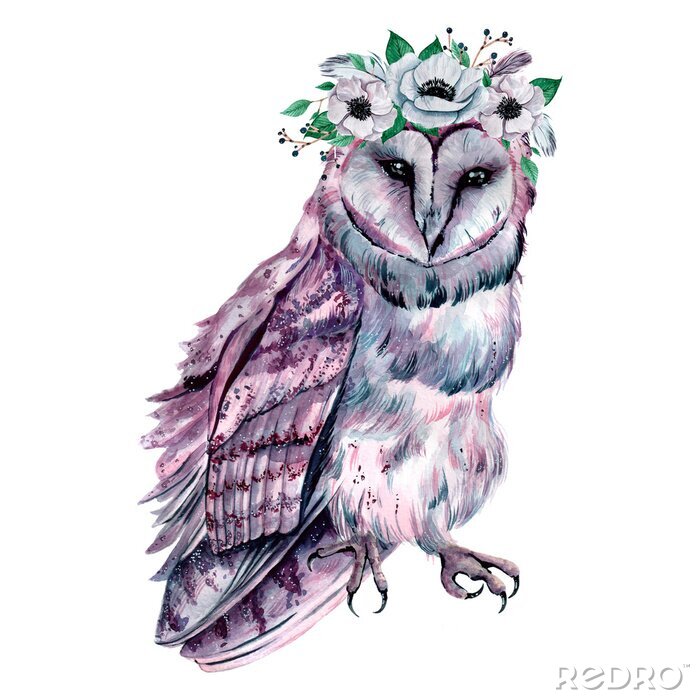 Canvas Watercolor owl with flowers. Hand drawn illustration