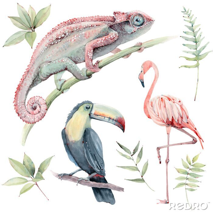 Canvas watercolor tropical animals set.