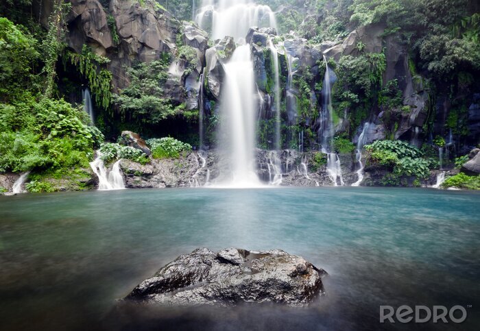Canvas Waterval en natuur