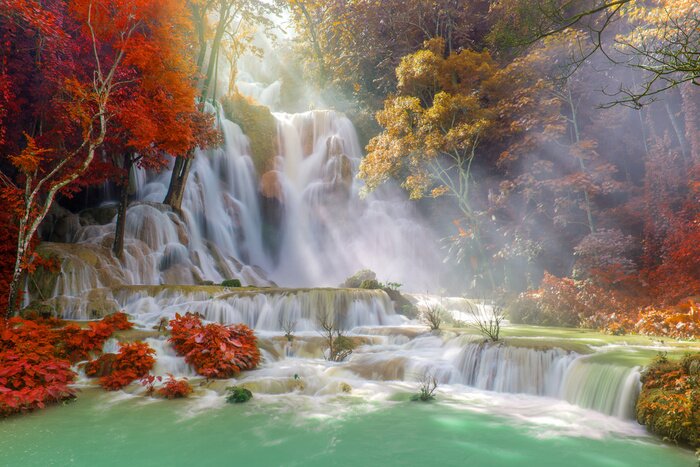 Canvas Waterval in het regenwoud