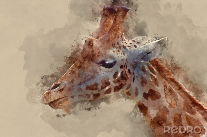 Canvas Waterverfportret van een giraf