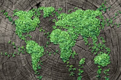 Canvas Wereldkaart gemaakt van planten