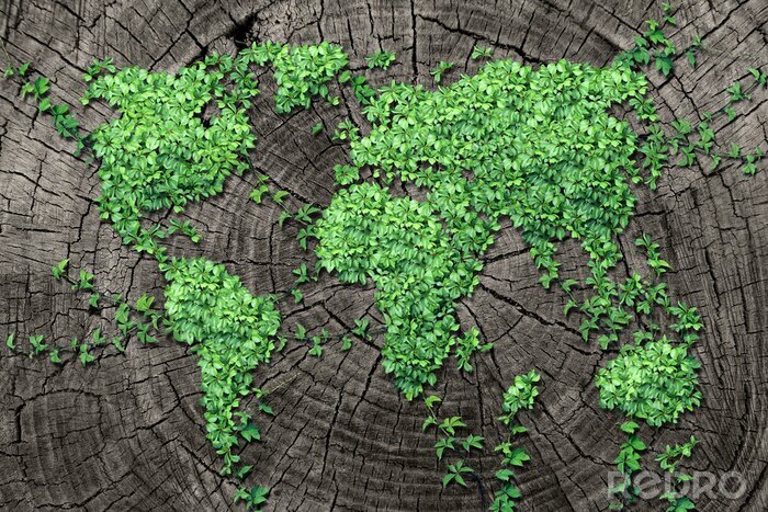 Canvas Wereldkaart gemaakt van planten