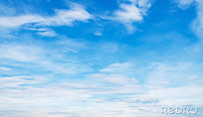 Canvas white cloud with blue sky background