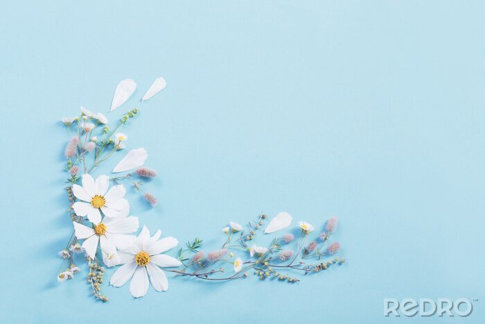 Canvas white flowers on paper background