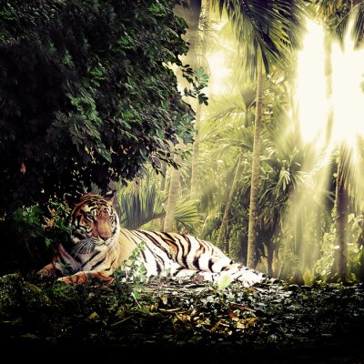 Canvas Wild dier in de jungle