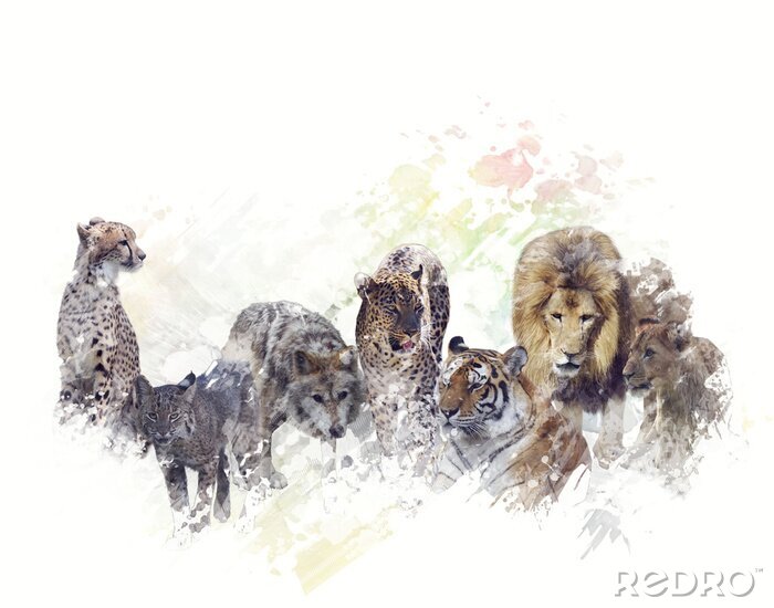 Canvas Wilde Afrikaanse dieren