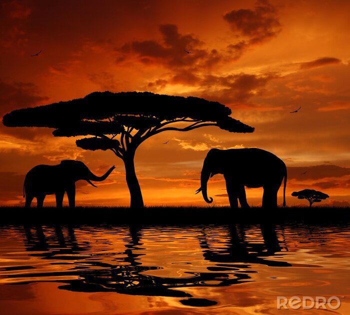 Canvas Wilde dieren in Afrika