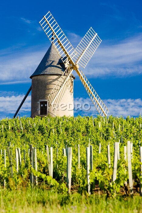 Canvas Windmolen in een veld in Frankrijk