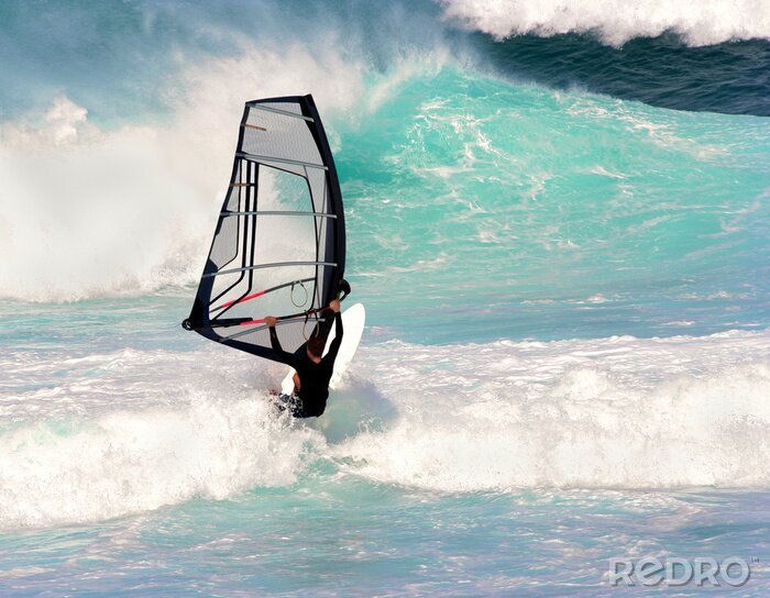 Canvas Windsurfen aan zee