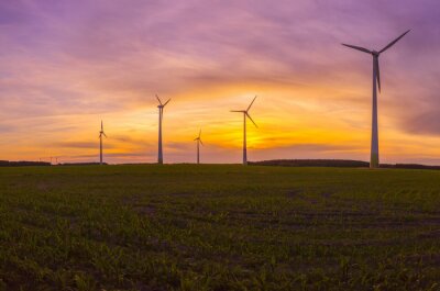 Canvas Windturbines windturbine windpark windenergie zonsopgang achtergrondverlichting XXL