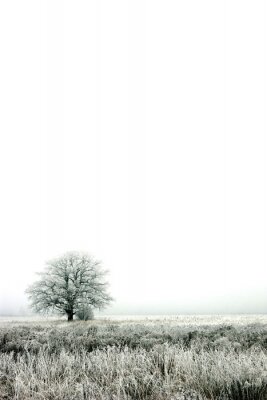 Canvas Winter eenzame boom