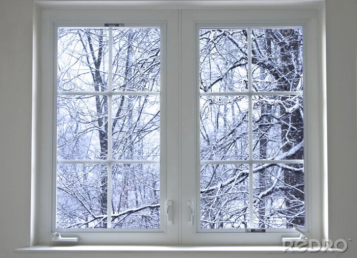 Canvas winter venster