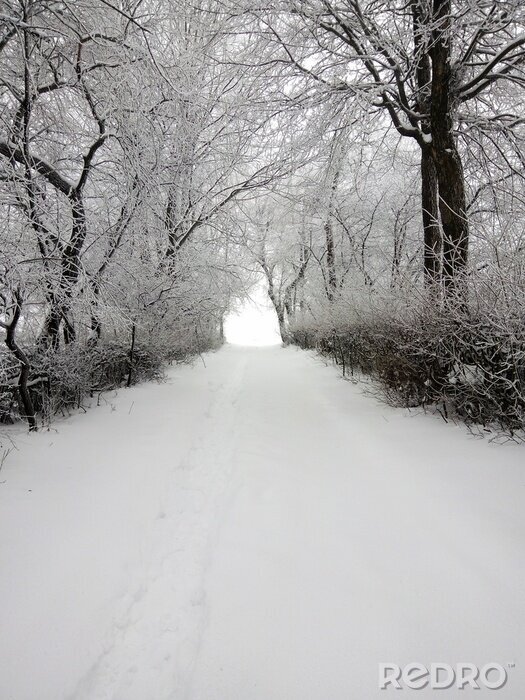 Canvas winter vilage road