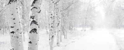 Winterberken langs de weg geplant