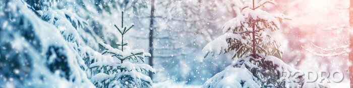 Canvas Winterbos in twee kleuren